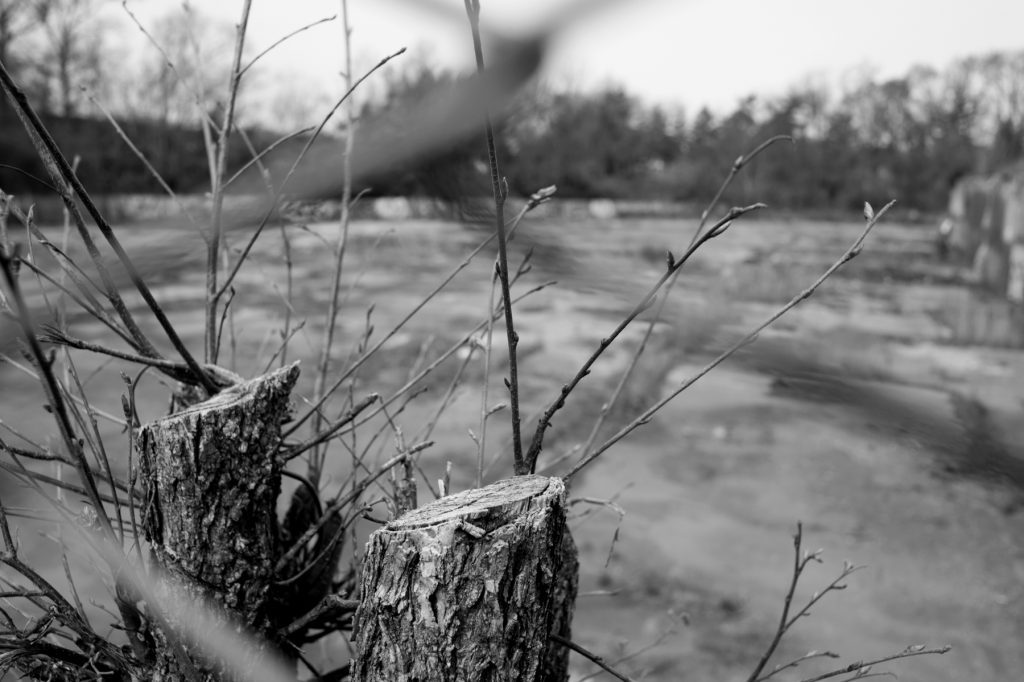 Jersey Avenue Brownfield Site